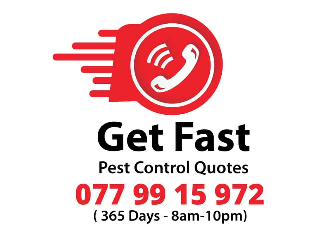 #1 Pest Control Services in Galle